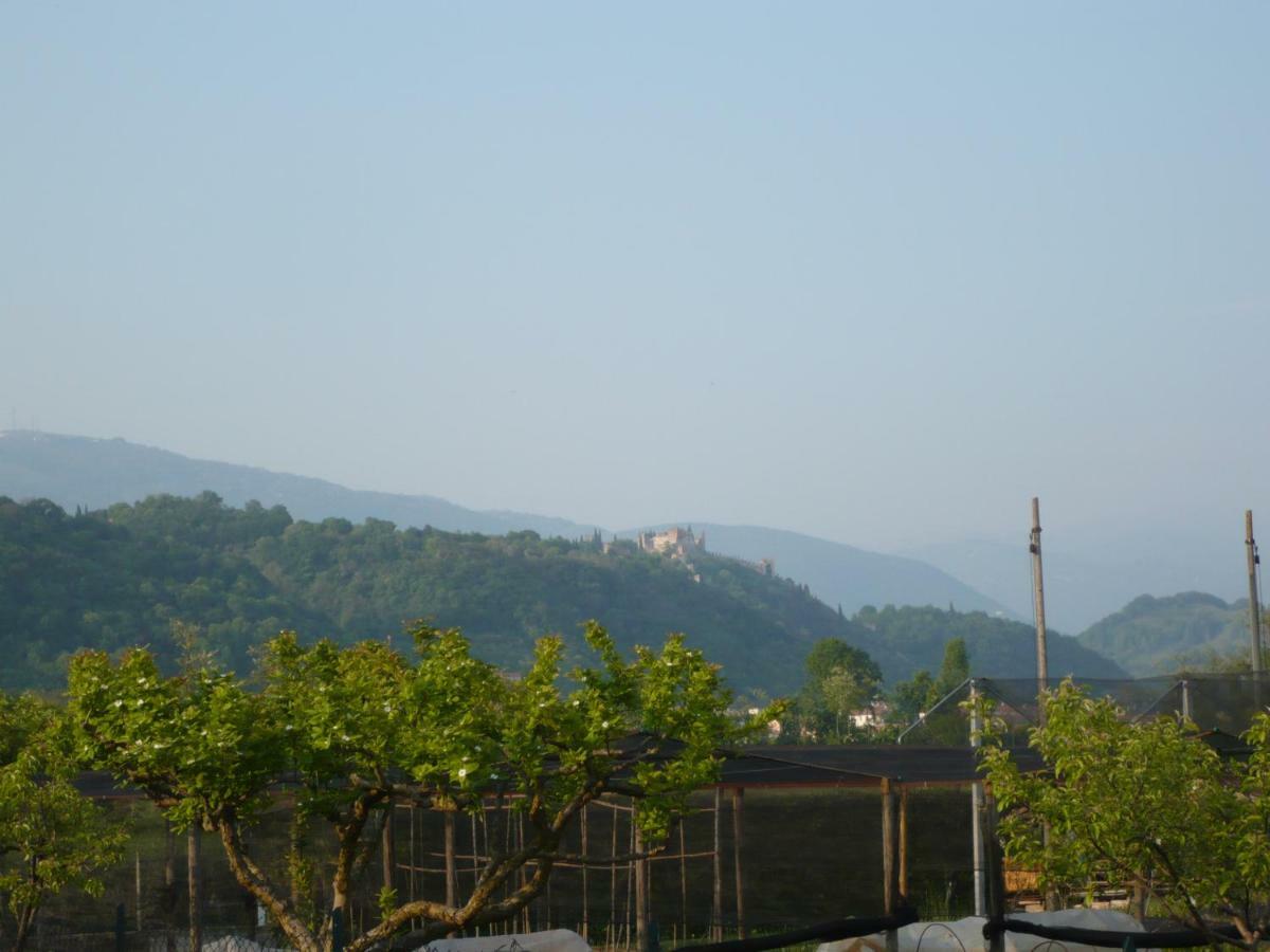 I Mirtilli Pianezze Exterior photo